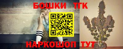 тгк Кингисепп