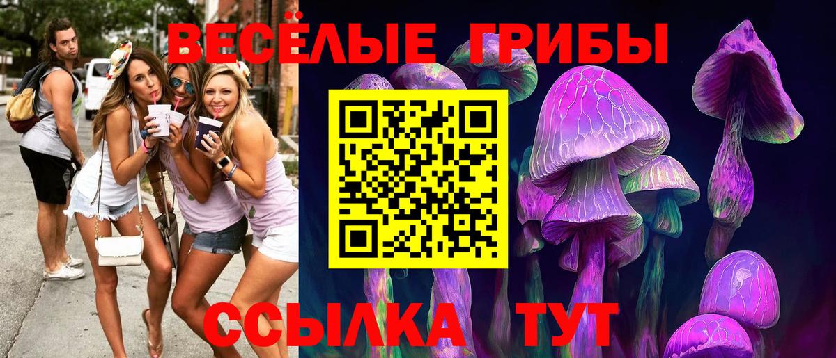 Чита  Галлюциногенные грибы ЛСД  Вход с VPN  Галлюциногенные грибы прущие грибы 