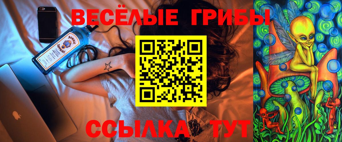 Псилоцибиновые грибы мухоморы Чита